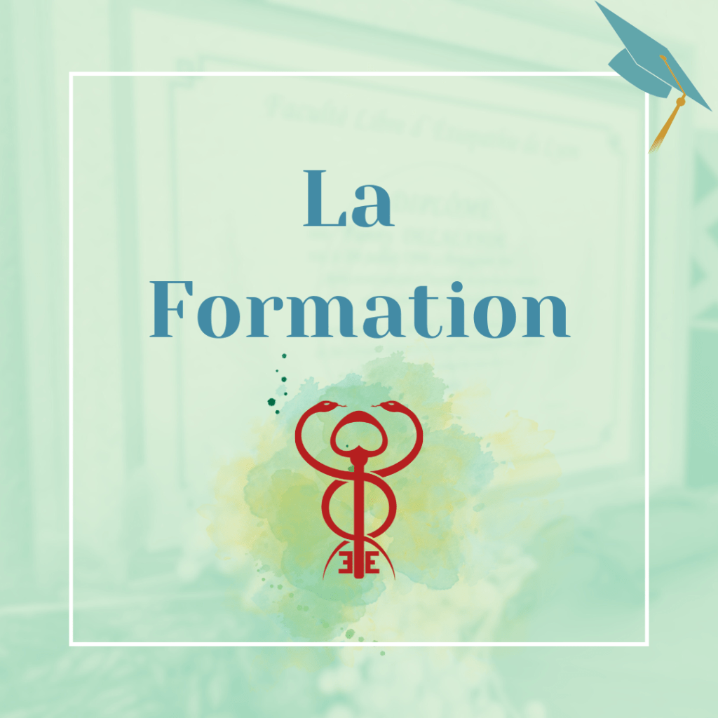 Diplome d&rsquo;étiopathe en France : Programme, Enseignement et&nbsp;Matières