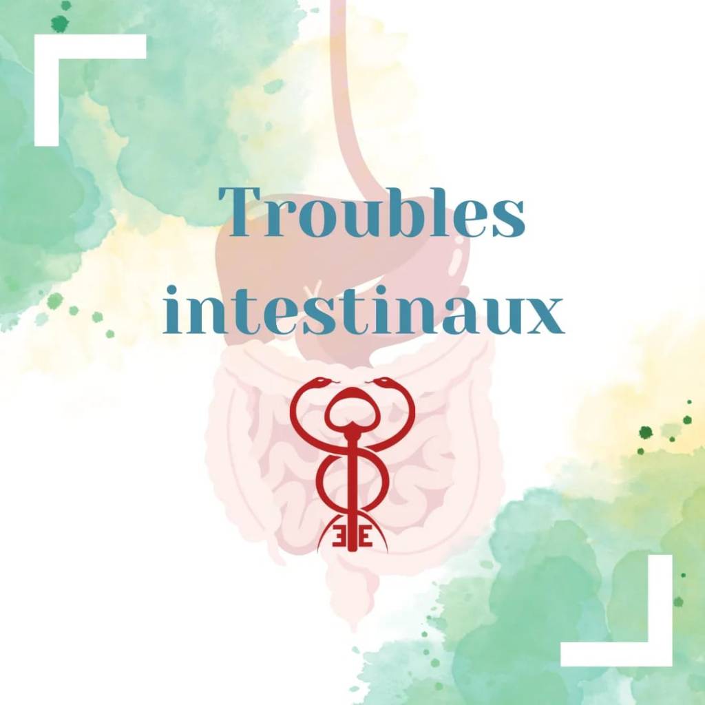 Troubles Digestifs : Impact des Pathologies Intestinales sur la&nbsp;Santé